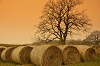 bg_image_6